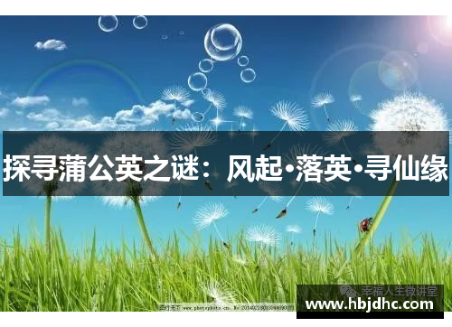 探寻蒲公英之谜：风起·落英·寻仙缘